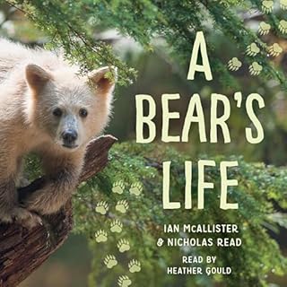A Bear's Life cover art