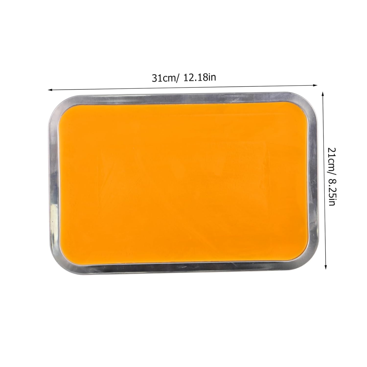 PRETYZOOM Metal Wax Dissection Tray 21cm x 31cm Stainless Steel Lab Tray Multi-Functional for Anatomical Studies