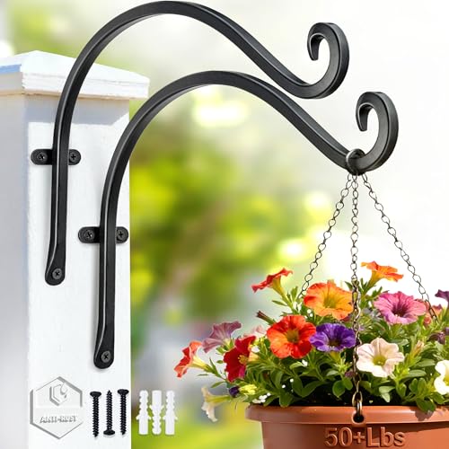 AJART Heavy-Duty Plant Hanger, 12" Iron Wall Hooks, 2 pcs