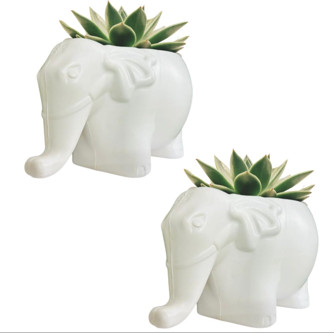 See full amazon price history chart for MUDDSTYLES Plastic Elephant Plant Pot 6 inch Flower Pots for Home Office Garden Balcony Plant Container Set (Pack of 2, Plastic) MUDDSTYLES Plastic Elephant Plant Pot 6 inch Flower Pots for Home Office Garden Balcony Plant Container Set (Pack of 2, Plastic) (B0CK6Z1T77) Amazon Price History, Amazon Price Tracker