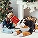 MaoGoLan Giant Bernese Mountain Dog Stuffed Animal Plush Toy, Big Large Jumbo Soft Dog Hugging Pillow Toys, 39.3