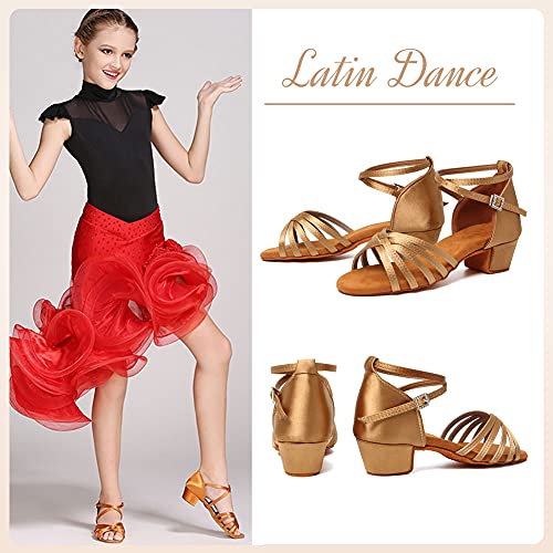 HROYL Girl's Latin Dance Shoes Low Heel Salsa Pratice Proformence Ballroom Dancing Shoes,Model EM-202-GB 6