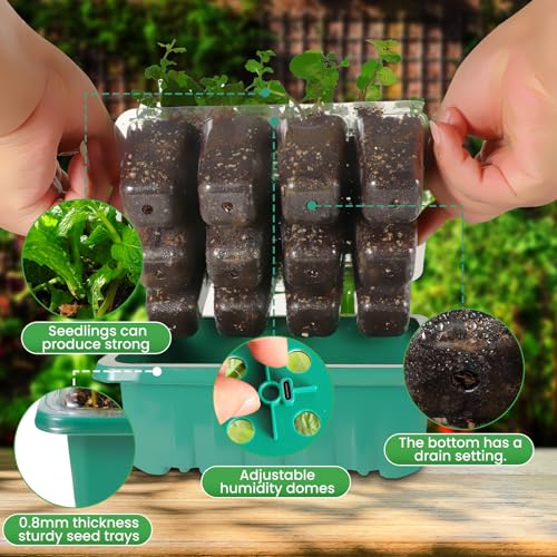 Seedling Starter Trays Seed Starter Kit With Grow Lights - 72-Cell Tray, 3 Light Modes