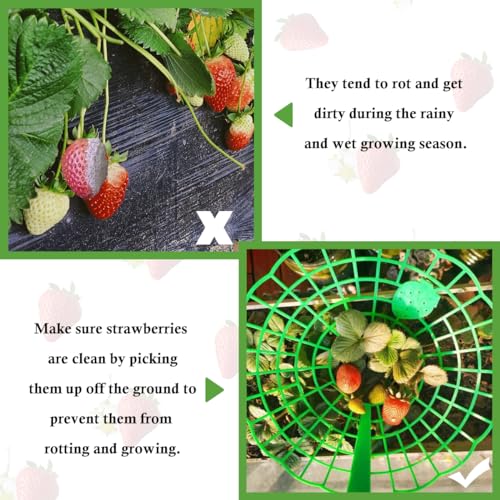 Quaocens AER21 20 Pcs Strawberry Supports,Strawberry Plant Support thumb #3