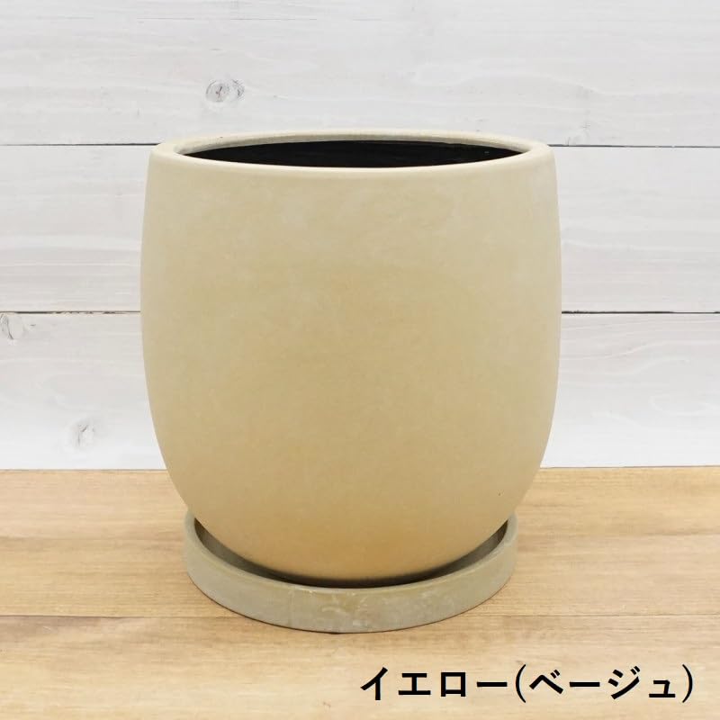 Amazon.co.jp: 植木鉢 おしゃれ 陶器鉢 アイルエッグS 最大外径