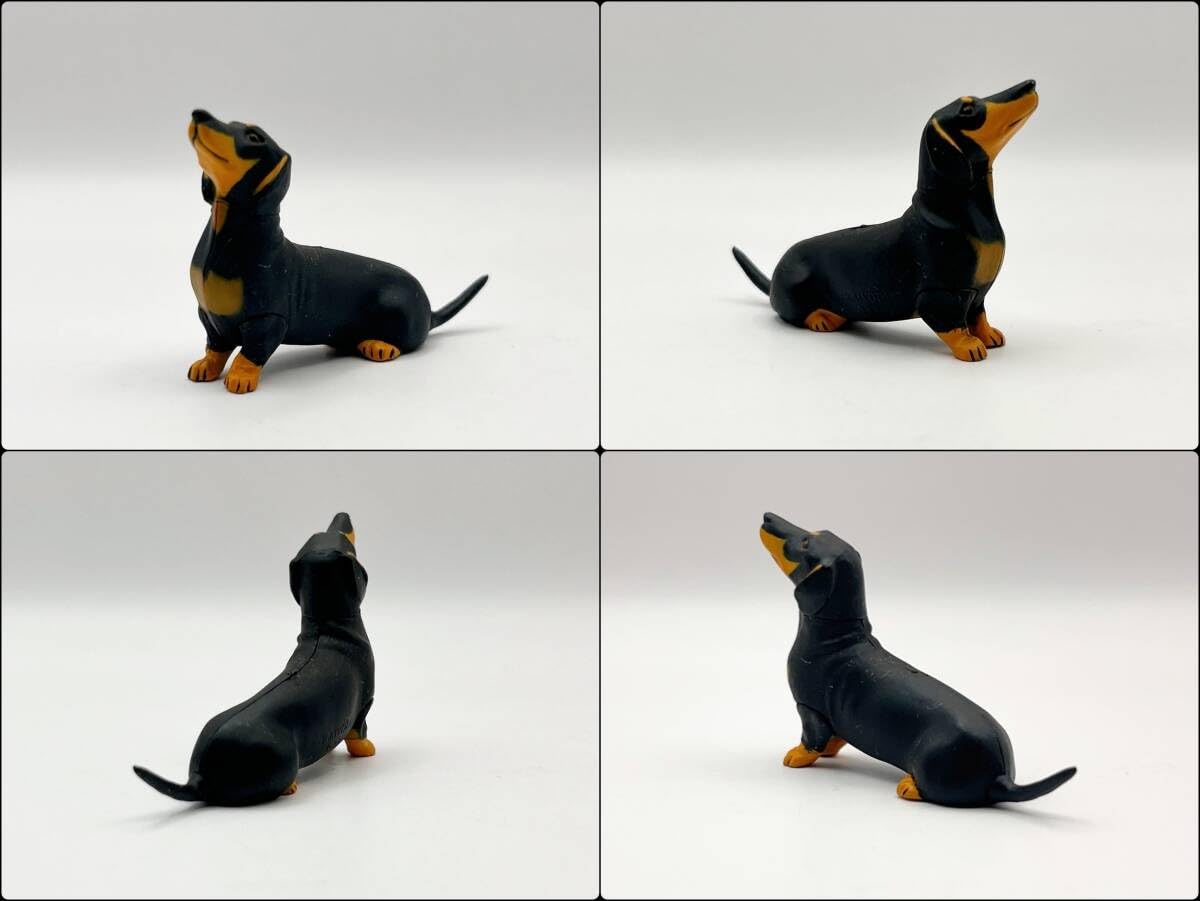 マンチカン 茶トラ 「チョコQ ペット動物 第3弾」 小学三年生特別付録