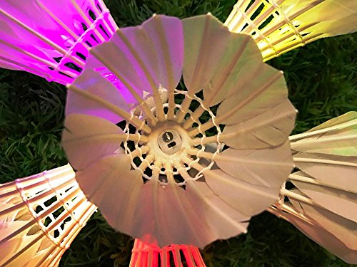Leadge Led Shuttlecock Badminton Birdies, Shuttlecock Dark Night Goose Feather Glow Birdies Lighting For Outdoor Indoor Sport Activities (6 Packs) (Multi Color) #TOP5