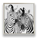 TEXTURE OF DREAMS Zebra Framed Canvas Prints Wall Art , Monochrome Black and White Wildlife Zebra...