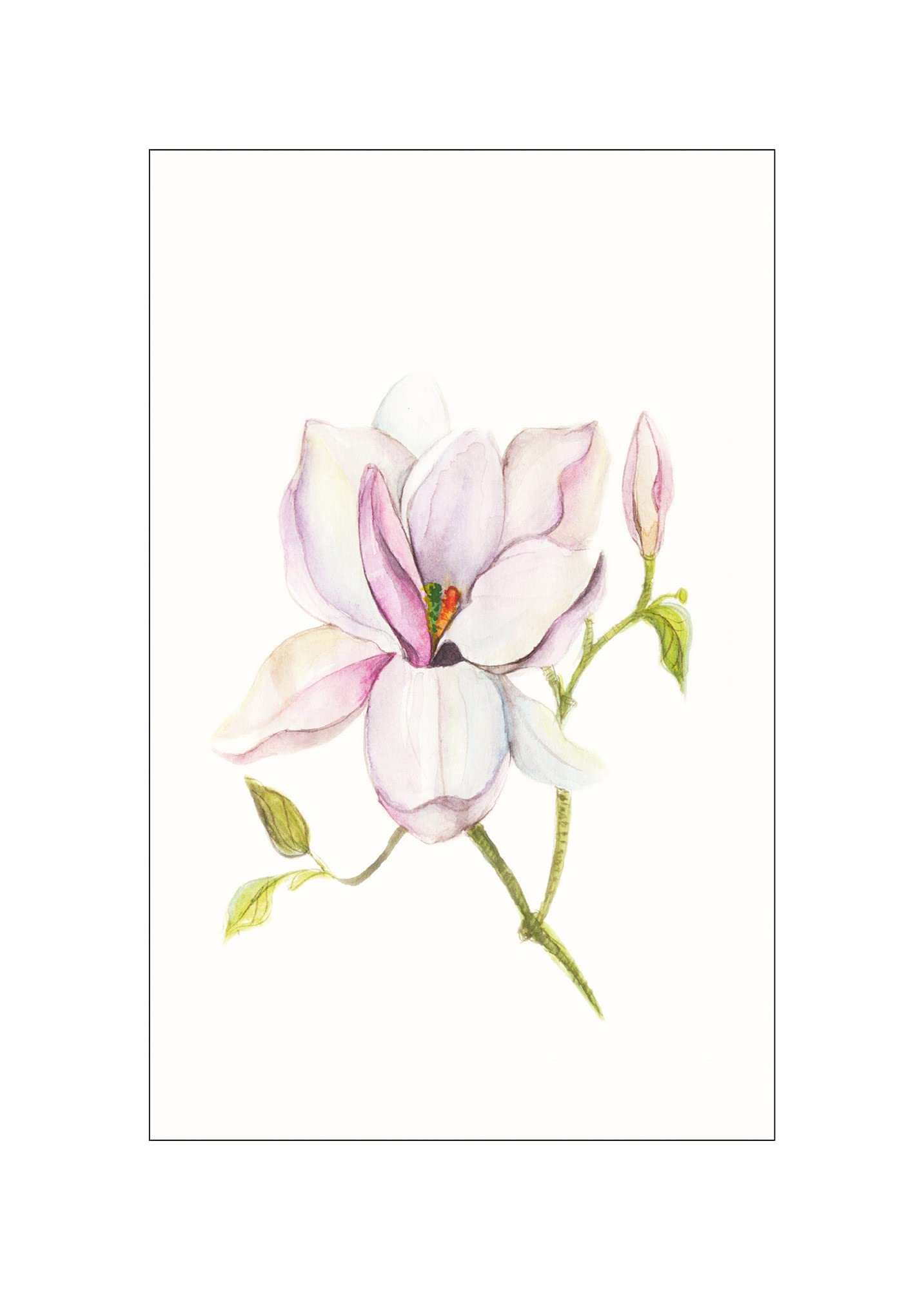 Impression toile Magnolia Shine Komar 50x70 décorer mur sans cadre