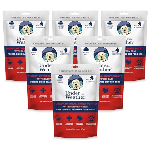 Under the Weather Bland Diet for Dogs | Easy to Digest Stomach Support for Sick Dogs | Contains Electrolytes, All Natural | 6 Pack - Turkey, Oatmeal, Sweet Potato & Slippery Elm - 6oz