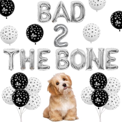 kreat4joy Dog 2nd Birthday Balloons & Decorations