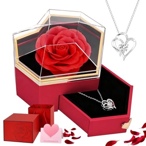JABNOW Rosa Eterna con Collar Regalo de San Valentín, Flores Preservadas para Día de la Madre, Regalo de Cumpleaños Mujer, Aniversario, Navidad en Caja Corazón para Mamá/Novia/Abuela y Hermana