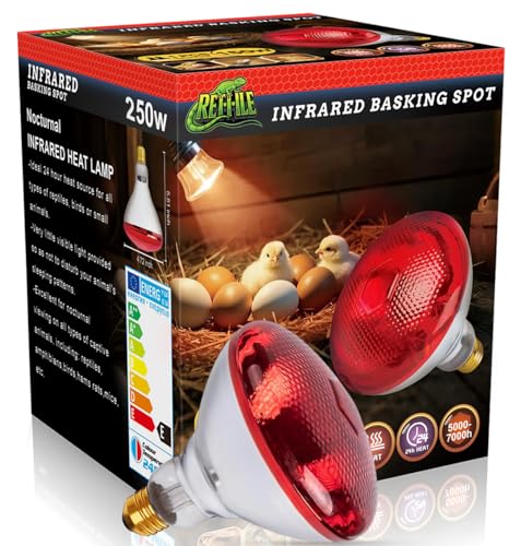 MISDOOD Infrared Heat Lamp for Chickens 250 Watts Red Heat Lamp Bulb Heat Light Bulb for Brooder Coop Food Service Chicks Pet Reptile 1 Pack