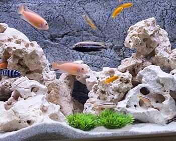 mini 804040天板金網 ルートZX mini ＃｜オンラインカタログ