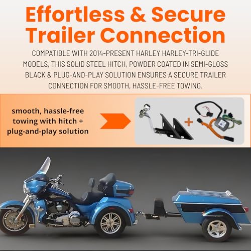 Blue Ox BXW1006 1000 lb Hitch (Clamp-On Latches, 11 Hole Shank)