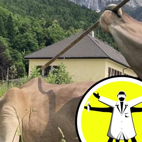 Cracking cancer's code, and the cow that scratches its back