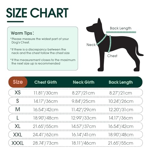 Kuoser Kühlweste Hund, S Hundekühlweste Sommer, UV-Schutz Shirt, Atmungsaktive Kühljacke, Leichte Sonnenschutz-Bekleidung, Insektenschutz für Outdoor, Must-Have für heiße Tage, Rosa