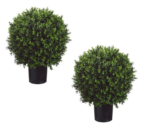 TRESIL BOTARO Set of 2 - Pre-Potted 24" High Ball Shaped Boxwood Topiary- 16" Diameter - Plastic Pot