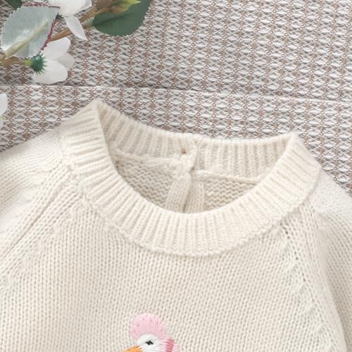 Newborn Baby Toddler Boy Girl Sweater Cute Duck Embroidery Long Sleeve Pullover Knit Tops Fall Winter Kids Warm Outfit4