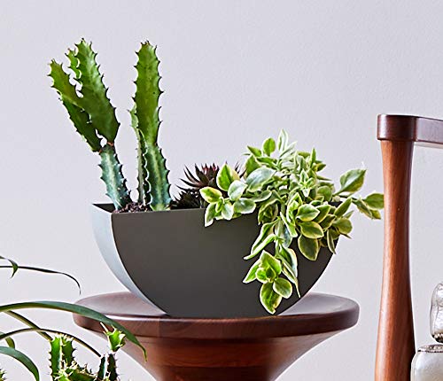 Bloem Bodye Half Moon Wall Mounted Hanging Planter 11" Charcoal Gray (Bod11908-Hm) #TOP2