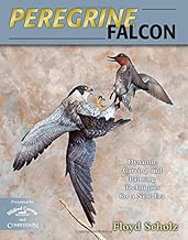 Peregrine Falcon: Dynamic Carving and Painting Techniques for a New Era