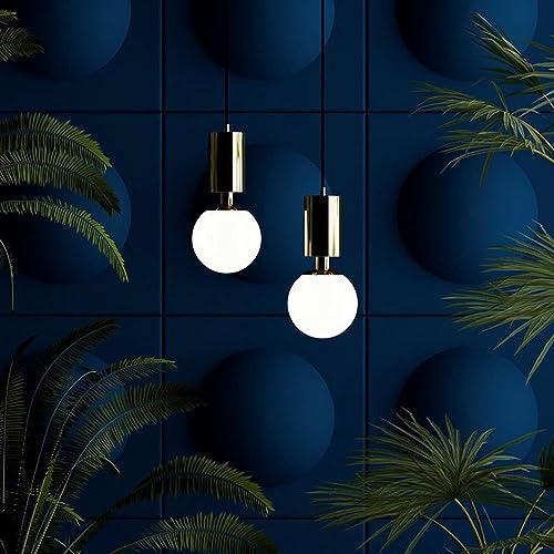 Lustre Moderne LED E14 Éclairage Intérieur Orientable et Économe pour Cuisine Boule Noire 25cm