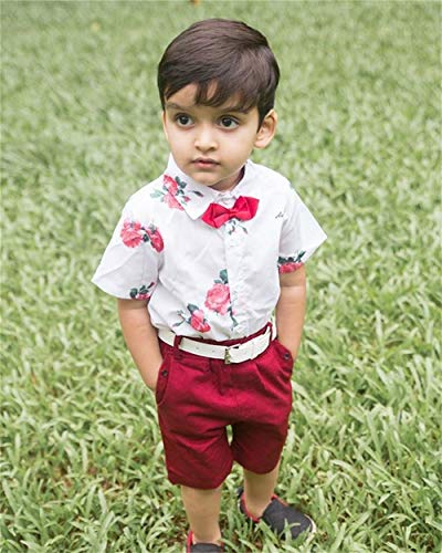 Image of CIYCUIT Toddler Baby Boys Shorts Set Short Sleeve Button Down Shirt + Shorts Pants 2 Pieces Summer Print Clothes Outfits