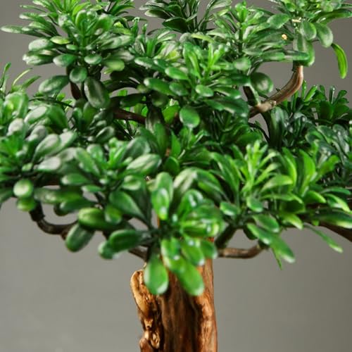 Bonsái artificial de pino sin riego plantas artificiales interior 4