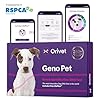 Orivet Genopet Dog DNA Test Dog Breed Test Kit Genetic Testing Heritable Health Risks and Life Plan