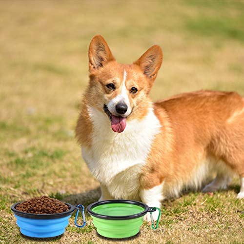 Collapsible Dog Bowl,2 Pack Portable And Foldable Pet Travel Bowls Collapsable Dog Water Feeding Bowls Dish For Dogs Cats And Small Animals,With Lids (Small, Blue+Green) #TOP2