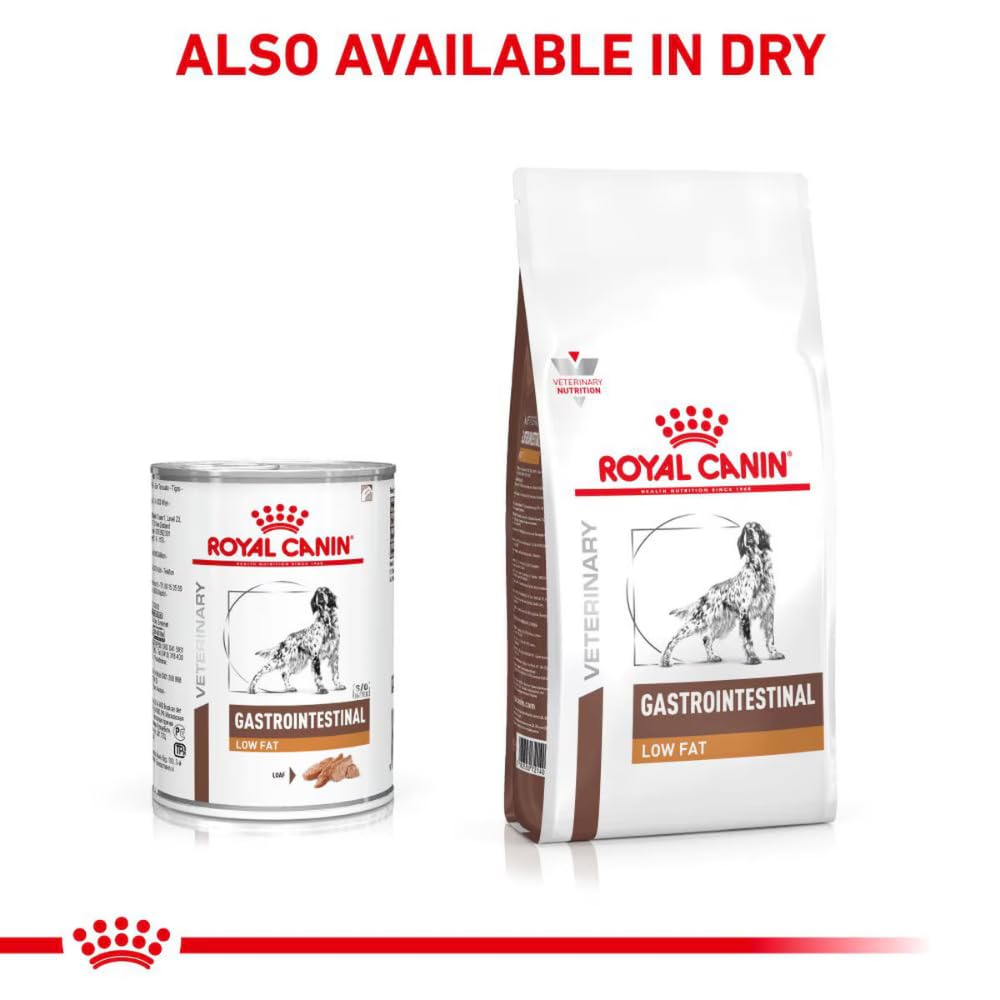 Royal Canin Veterinary Gastrointestinal Low Fat Mousse | 12 x 420 g | Diät-Alleinfuttermittel für ausgewachsene Hunde | Zur Unterstützung der Verdauung und bei Übergewicht