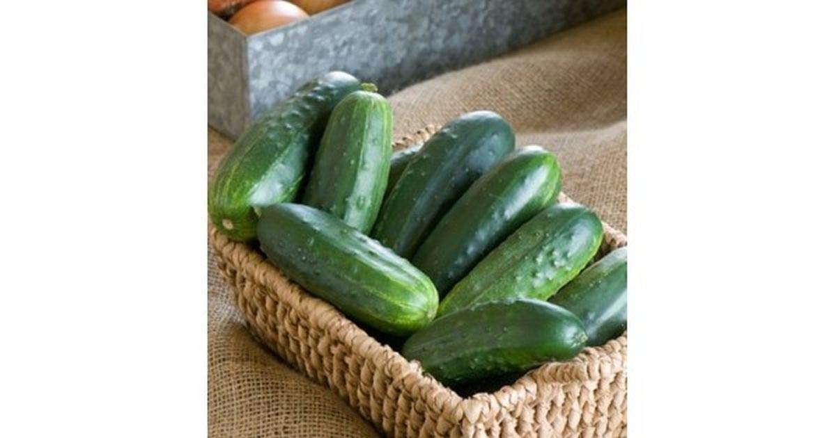 Amazon.com : Jackson Classic F1 Hybrid Cucumber Seeds-High