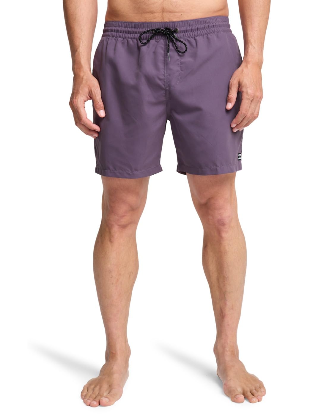 Billabong Men's All Day Lb Board Shorts, Dusty Grape, S