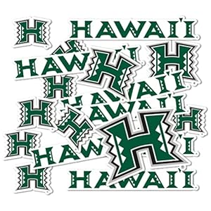 University of Hawaii Sticker Rainbow Warriors UH Stickers Vinyl Decals Laptop Water Bottle Car Scrapbook T1 (Type 1-1)