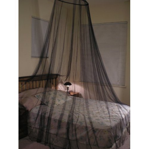 Best Mosquito Canopy Queen 2024 Buy at