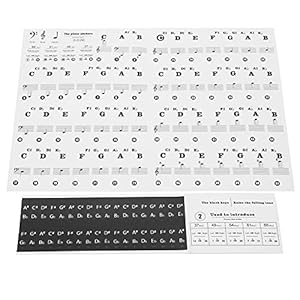 Bladmuziekstickers, transparant PVC-pianotoetsenbord Eenvoudig te bedienen Oliebestendige pianonoot Zelfklevend voor 37…