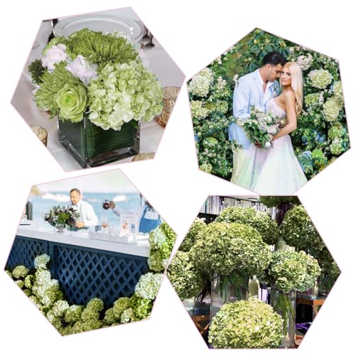 Coferset ライムグリーン アジサイ 造花 3個 本物そっくり 人工アジサイ リアルタッチ フェイクフラワー ホームウェディング オフィス パーティー リビングルームの装飾用、22インチ [5]