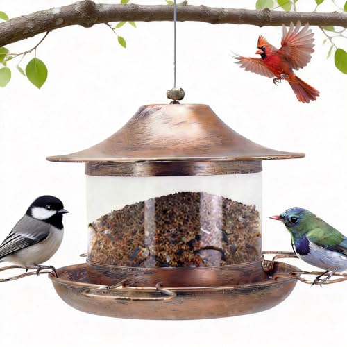 Bird Feeder for Outdoors Hanging, Heavy Duty Metal Bird Feeder for Wild Birds, 4.5Lbs Large Capacity Weatherproof Birdfeeder for Outside Garden Yard,Easy to Clean and Fill, (Bronze)