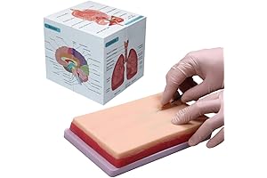 Aliwovo Venipuncture Practice kit