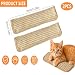 Fyhqwf 2 StüCk Katzenminze Spielzeug - Katzen Minzekissen FüR - Katzenspielzeug, Katzenminze-Pads FüR Hauskatzen Und KäTzchen, Ideal Zum Spielen Und Krallenwetzen