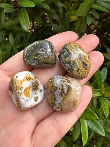 Image of GAF TREASURES 1 /2 LB Ocean Jasper Tumbled Stones, Polished Natural Sea Jasper Gemstone, Ocean Jasper Healing Crystals (Ocean Jasper)