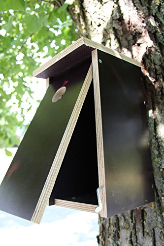 großer nesträubersicherer Stabiler Nistkasten Vogelhaus Nisthaus - Brutraum: Innenmaße: 12x12x24cm - Abstand… – Bild 3