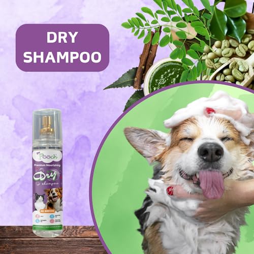 POOCH-Dog-Dry-Shampoo-for-All-Breeds-Pack-of-2-130-130-ML-4-in-1-Hydrates-Nourishes-Fresh-Fragrance-Removes-Dirt-Grime-Oil-Made-with-Natural-Actives