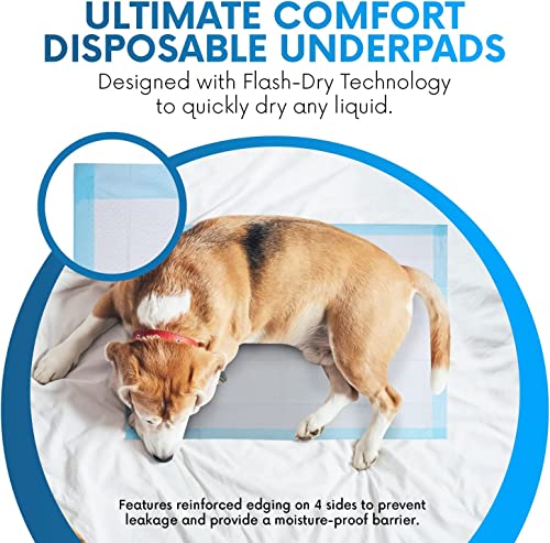 Healqu Disposable Underpads - Super Absorbent Incontinence Bed Pads For Adults, Kids, Elderly, And Pets - Fluid And Urine Bed Protection - Large, Thick, Fluff And Polymer Chux (24X36 Pack Of 50) #TOP4