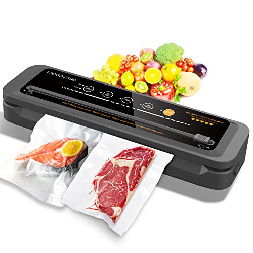 FoodSaver VS0160 PowerVac Vacuum Sealer Review Efficient Food