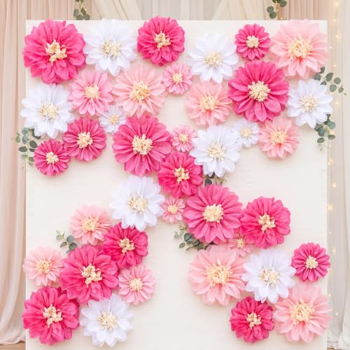 Image of Cholemy 24 Pcs Tissue Paper Flowers, Crepe Paper Flowers Decorations 8 inch 10 inch 12 inch for Wedding Party Baby Bridal Shower Carnival Party Birthday Nursery Wall Decor (Pink,White)