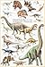 Produktbild Educational - Bildung Dinosaurier - Dinosaurs - Jurassic Period Bildungsposter Plakat Druck - Maxiposter Version in Englisch - Grösse 61x91,5 cm