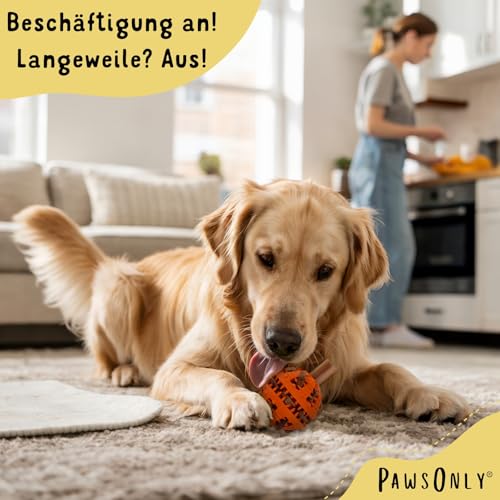 PawsOnly | Hundespielzeug | Leckerli Ball für Hunde | Intelligenzspielzeug | Snackball Hund | Hundebeschäftigung | Futterball Naturkautschuk | Welpenspielzeug | Zahnputzball (Groß 8 cm, Orange)