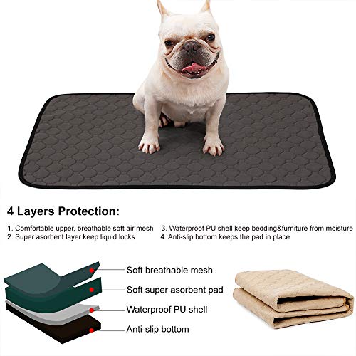 Dog Bed Mat,Waterproof Kennel Pad with Anti Slip Bottom for Small Medium and Large Dogs Cats Washable Pet Mat for Eating Bowls,Dog Cages,Cars Sofa,Grooming, Post-Surgery Recovery,Dog Crate Pad,Grey,M Dog Bed Mat,Waterproof Kennel Pad with Anti Slip Bottom for Small Medium and Large Dogs Cats Washable Pet Mat for Eating Bowls,Dog Cages,Cars Sofa,Grooming, Post-Surgery Recovery,Dog Crate Pad,Grey,M