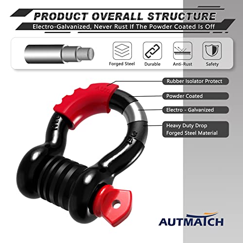 image for AUTMATCH D Ring Shackle 3/4